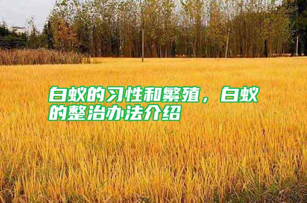 白蟻的習性和繁殖，白蟻的整治辦法介紹