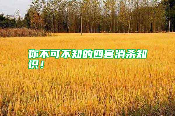 你不可不知的四害消殺知識！