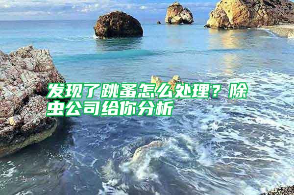 發現了跳蚤怎么處理？除蟲公司給你分析