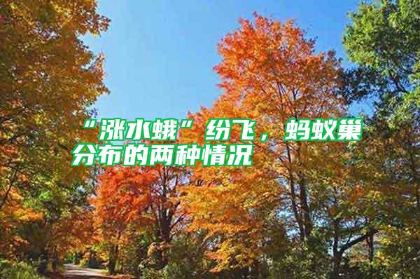 “漲水蛾”紛飛，螞蟻巢分布的兩種情況