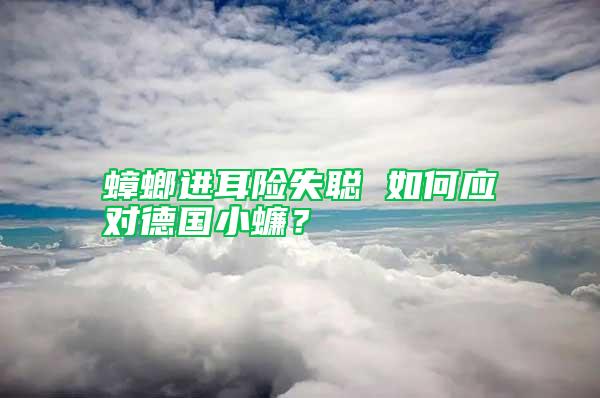 蟑螂進耳險失聰 如何應對德國小蠊？