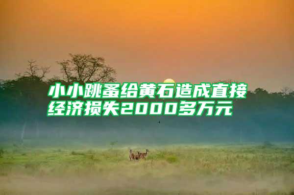 小小跳蚤給黃石造成直接經(jīng)濟損失2000多萬元