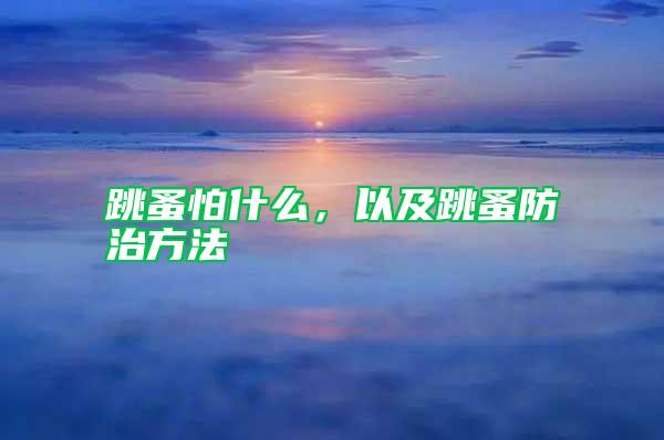 跳蚤怕什么，以及跳蚤防治方法