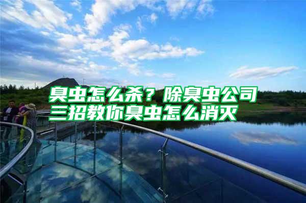 臭蟲怎么殺？除臭蟲公司三招教你臭蟲怎么消滅