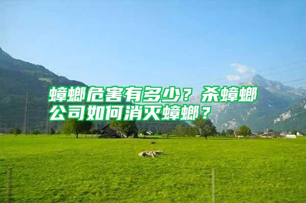 蟑螂危害有多少？殺蟑螂公司如何消滅蟑螂？