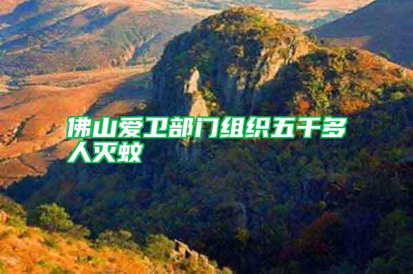 佛山愛(ài)衛(wèi)部門組織五千多人滅蚊