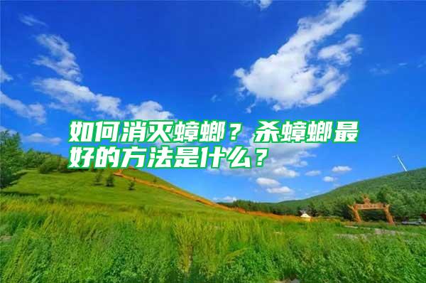 如何消滅蟑螂？殺蟑螂最好的方法是什么？