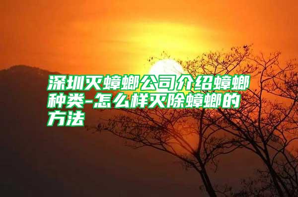 深圳滅蟑螂公司介紹蟑螂種類(lèi)-怎么樣滅除蟑螂的方法