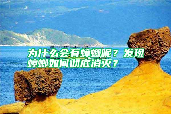 為什么會有蟑螂呢？發現蟑螂如何徹底消滅？