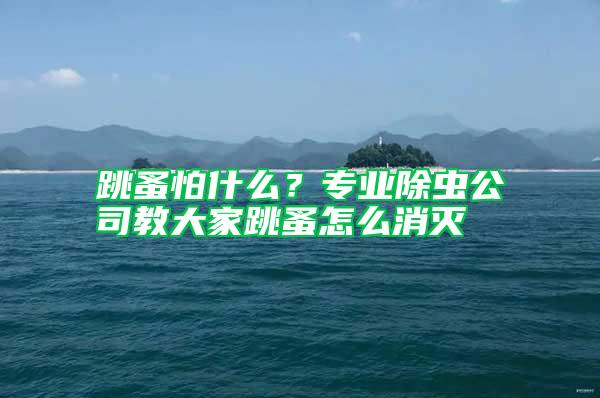 跳蚤怕什么？專業除蟲公司教大家跳蚤怎么消滅