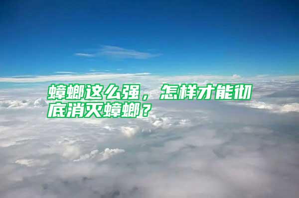 蟑螂這么強，怎樣才能徹底消滅蟑螂？