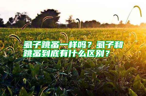 虱子跳蚤一樣嗎？虱子和跳蚤到底有什么區(qū)別？