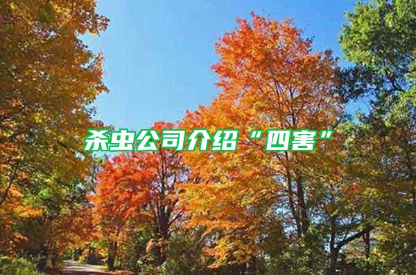 殺蟲(chóng)公司介紹“四害”