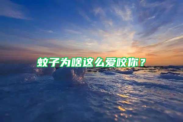 蚊子為啥這么愛咬你？