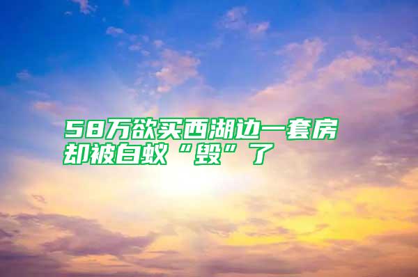 58萬(wàn)欲買西湖邊一套房 卻被白蟻“毀”了