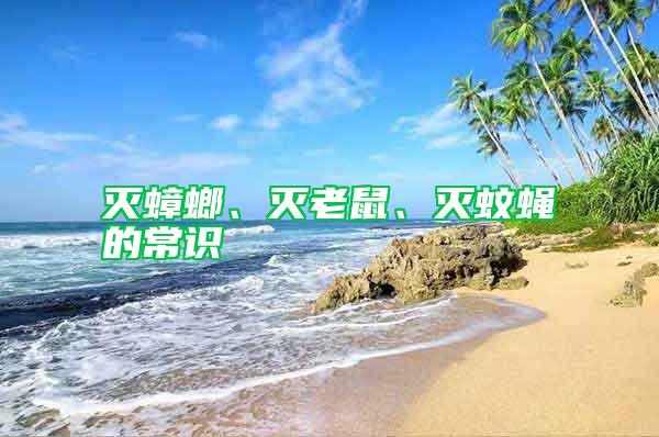 滅蟑螂、滅老鼠、滅蚊蠅的常識