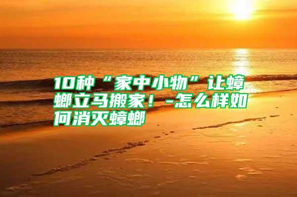 10種“家中小物”讓蟑螂立馬搬家！-怎么樣如何消滅蟑螂