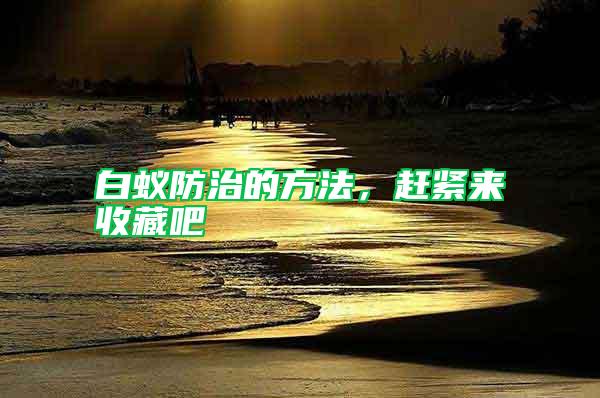 白蟻防治的方法，趕緊來收藏吧