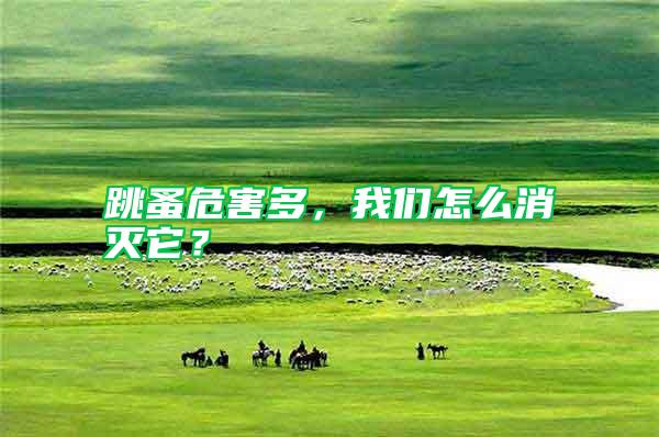 跳蚤危害多，我們?cè)趺聪麥缢?/></p>
             <p style=