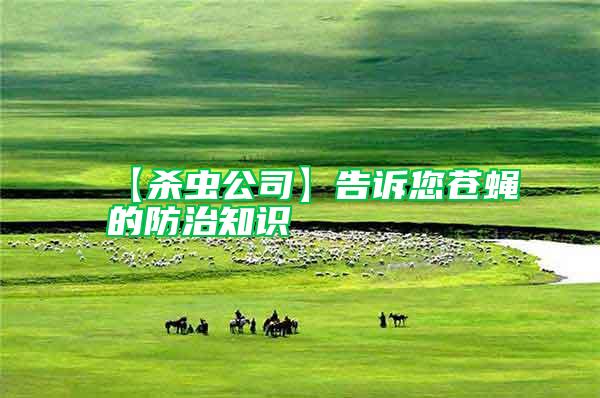 【殺蟲公司】告訴您蒼蠅的防治知識(shí)