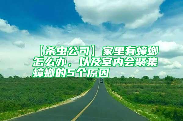 【殺蟲公司】家里有蟑螂怎么辦，以及室內會聚集蟑螂的5個原因