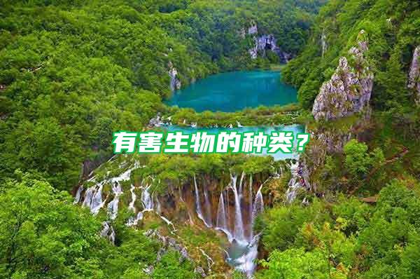 有害生物的種類？