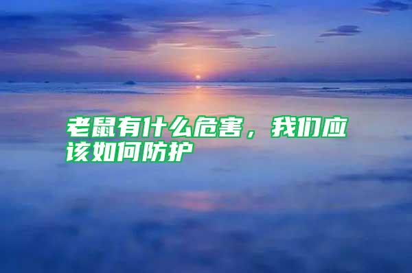 老鼠有什么危害，我們應該如何防護
