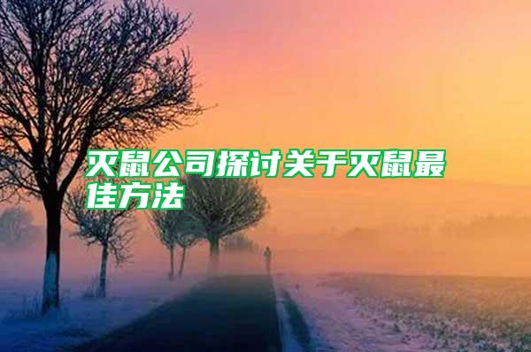 滅鼠公司探討關(guān)于滅鼠最佳方法