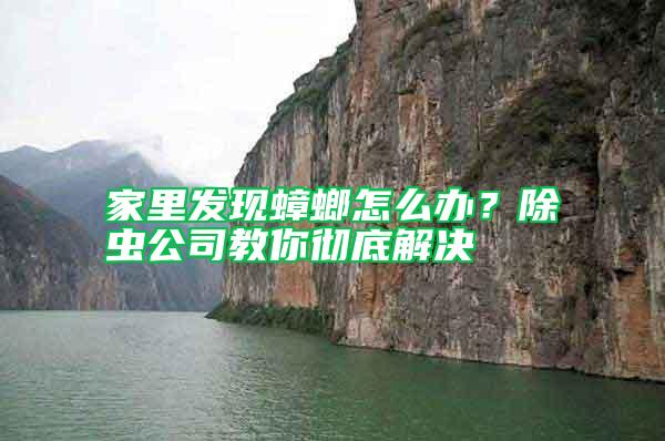 家里發現蟑螂怎么辦？除蟲公司教你徹底解決