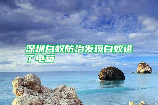 深圳白蟻防治發(fā)現(xiàn)白蟻進(jìn)了電箱
