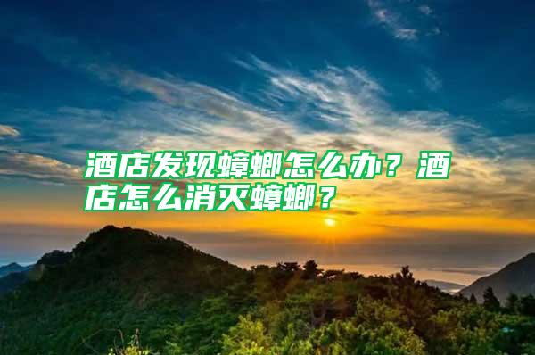 酒店發(fā)現(xiàn)蟑螂怎么辦？酒店怎么消滅蟑螂？