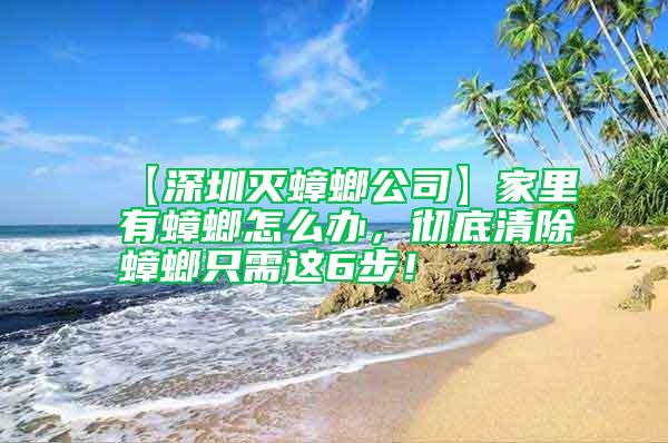 【深圳滅蟑螂公司】家里有蟑螂怎么辦，徹底清除蟑螂只需這6步！