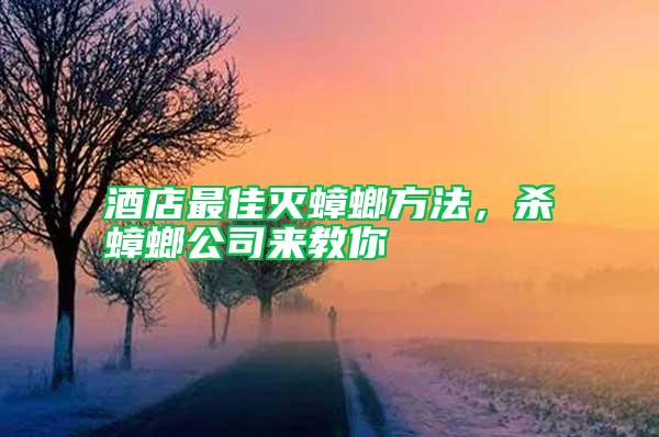 酒店最佳滅蟑螂方法，殺蟑螂公司來教你