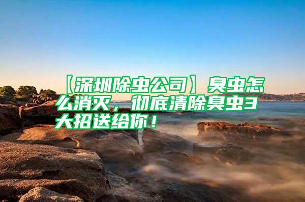 【深圳除蟲公司】臭蟲怎么消滅，徹底清除臭蟲3大招送給你！