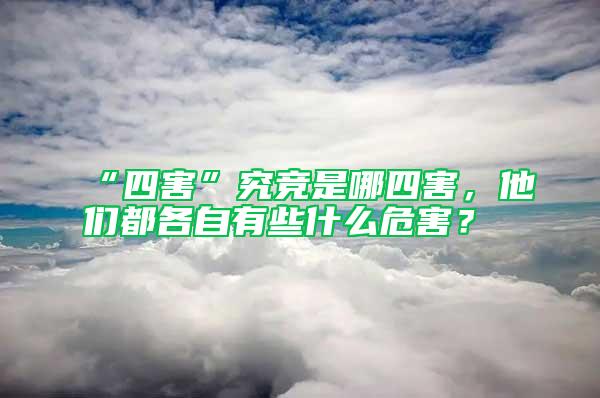 “四害”究競(jìng)是哪四害，他們都各自有些什么危害？