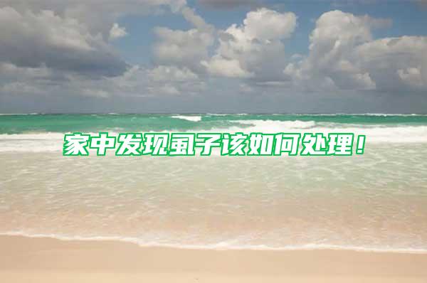 家中發現虱子該如何處理！