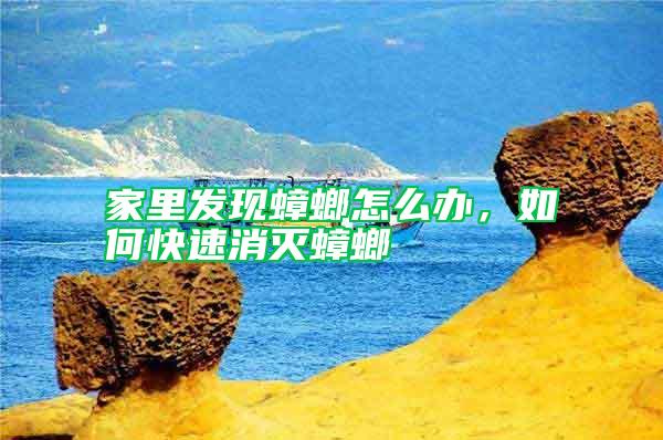 家里發現蟑螂怎么辦，如何快速消滅蟑螂