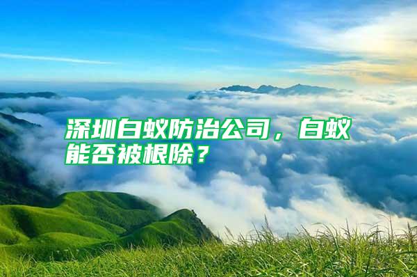 深圳白蟻防治公司，白蟻能否被根除？
