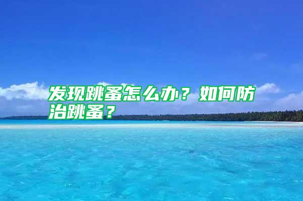 發(fā)現(xiàn)跳蚤怎么辦？如何防治跳蚤？