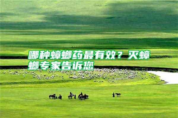 哪種蟑螂藥最有效？滅蟑螂專家告訴您