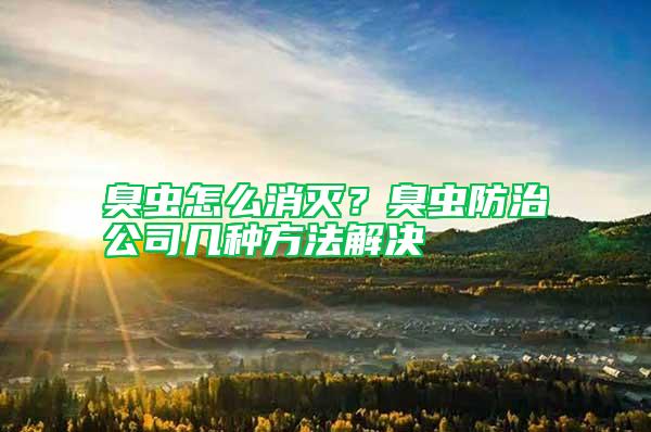 臭蟲怎么消滅？臭蟲防治公司幾種方法解決