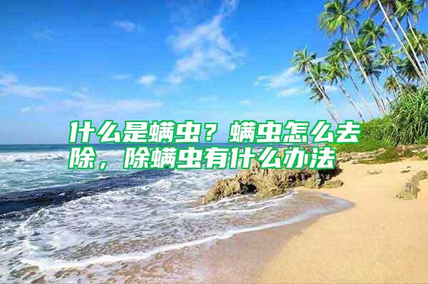 什么是螨蟲？螨蟲怎么去除，除螨蟲有什么辦法