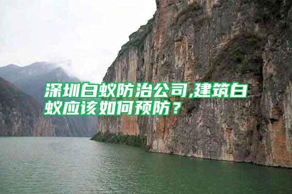 深圳白蟻防治公司,建筑白蟻應該如何預防？