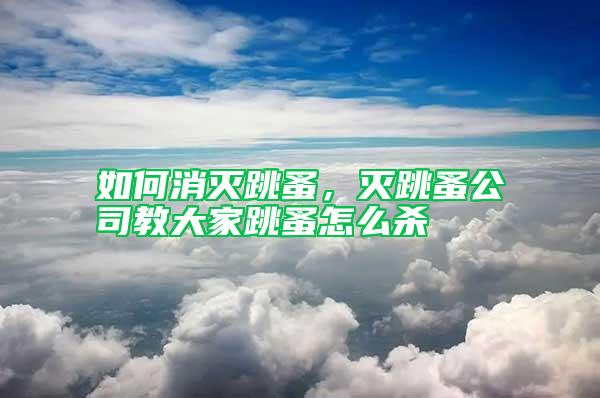 如何消滅跳蚤，滅跳蚤公司教大家跳蚤怎么殺