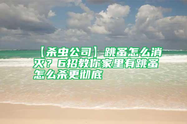 【殺蟲(chóng)公司】跳蚤怎么消滅？6招教你家里有跳蚤怎么殺更徹底