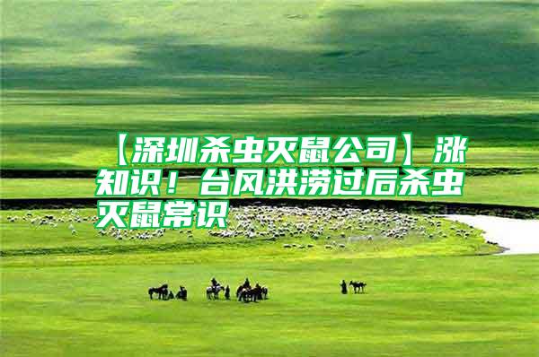 【深圳殺蟲(chóng)滅鼠公司】漲知識(shí)！臺(tái)風(fēng)洪澇過(guò)后殺蟲(chóng)滅鼠常識(shí)