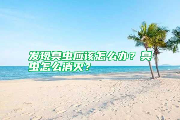 發(fā)現(xiàn)臭蟲應(yīng)該怎么辦？臭蟲怎么消滅？