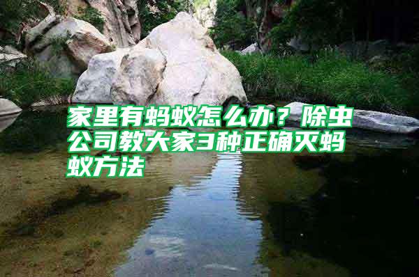 家里有螞蟻怎么辦？除蟲公司教大家3種正確滅螞蟻方法