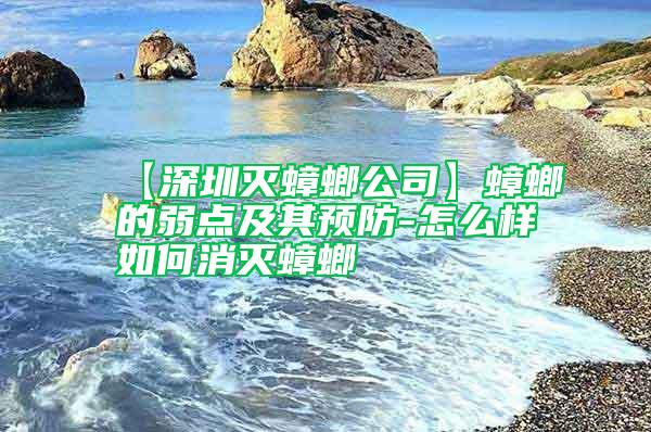 【深圳滅蟑螂公司】蟑螂的弱點(diǎn)及其預(yù)防-怎么樣如何消滅蟑螂