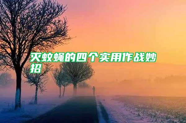 滅蚊蠅的四個(gè)實(shí)用作戰(zhàn)妙招